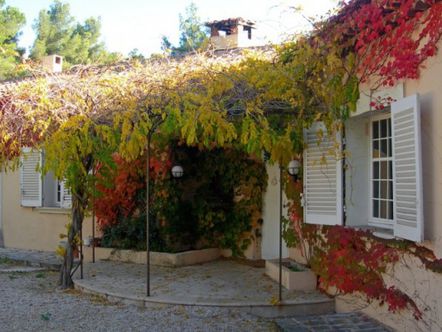 IBS of Provence (courses in the spring)
